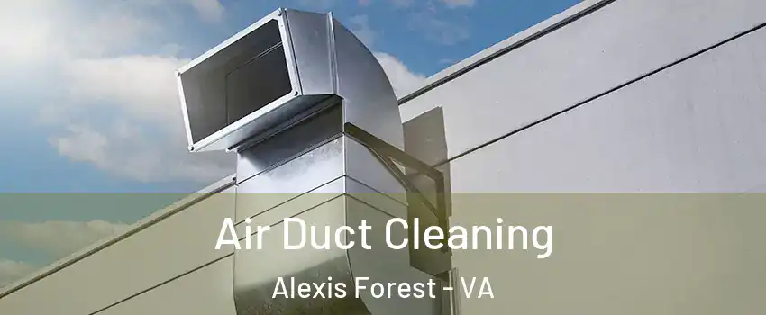 Air Duct Cleaning Alexis Forest - VA