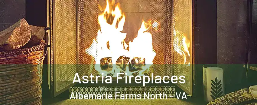 Astria Fireplaces Albemarle Farms North - VA
