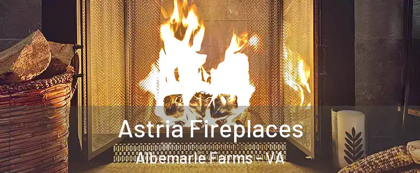 Astria Fireplaces Albemarle Farms - VA
