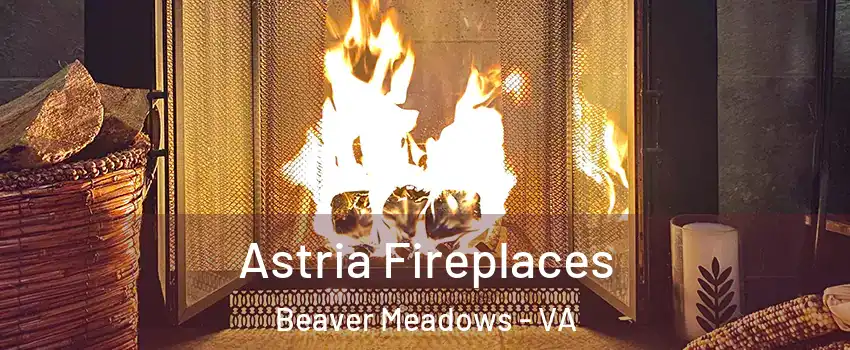 Astria Fireplaces Beaver Meadows - VA