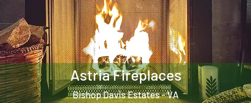 Astria Fireplaces Bishop Davis Estates - VA