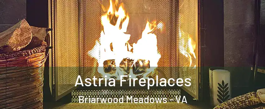 Astria Fireplaces Briarwood Meadows - VA