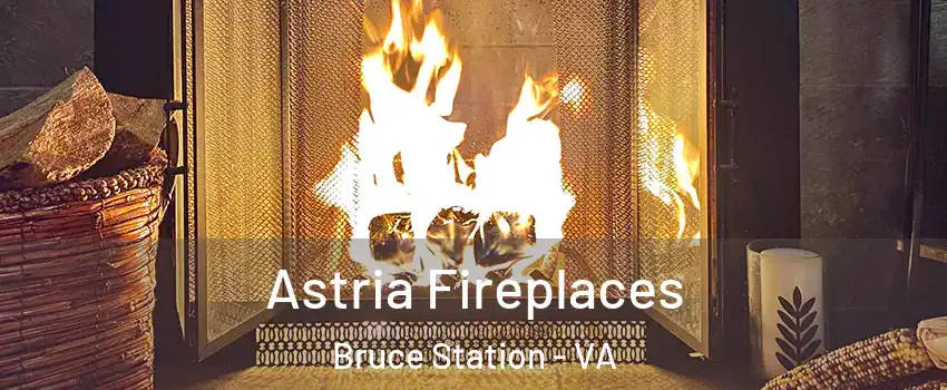 Astria Fireplaces Bruce Station - VA