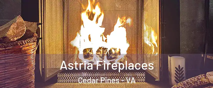Astria Fireplaces Cedar Pines - VA