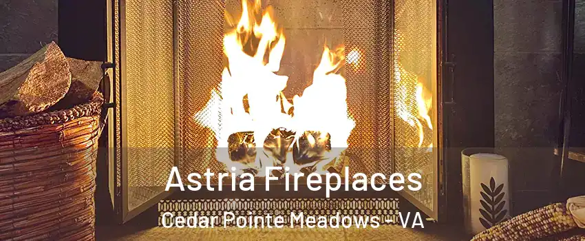 Astria Fireplaces Cedar Pointe Meadows - VA