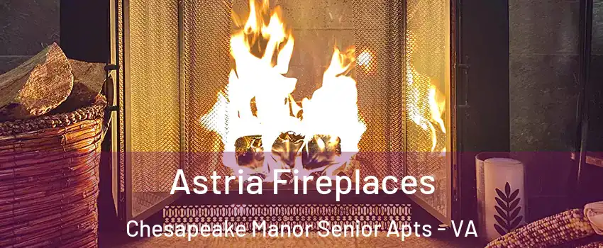Astria Fireplaces Chesapeake Manor Senior Apts - VA