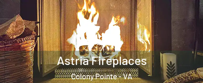 Astria Fireplaces Colony Pointe - VA