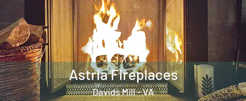 Astria Fireplaces Davids Mill - VA