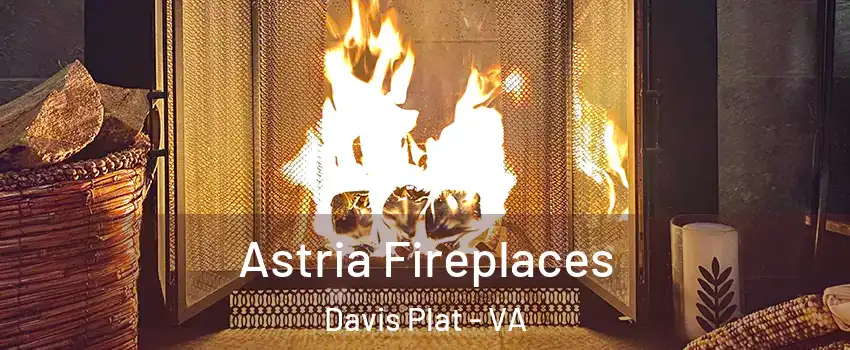 Astria Fireplaces Davis Plat - VA