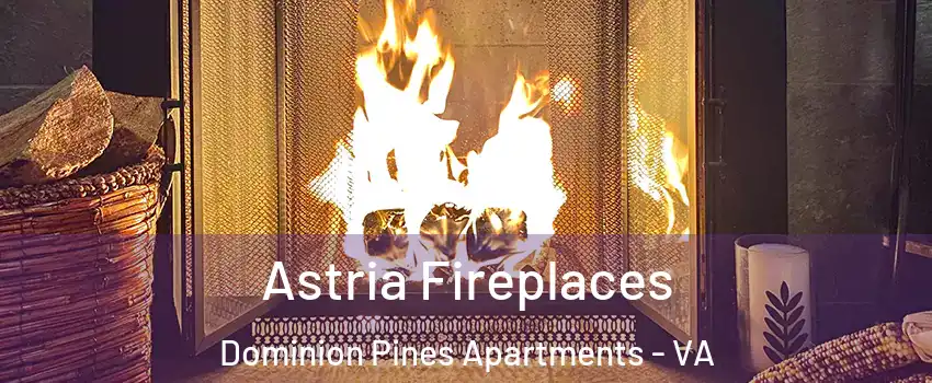 Astria Fireplaces Dominion Pines Apartments - VA