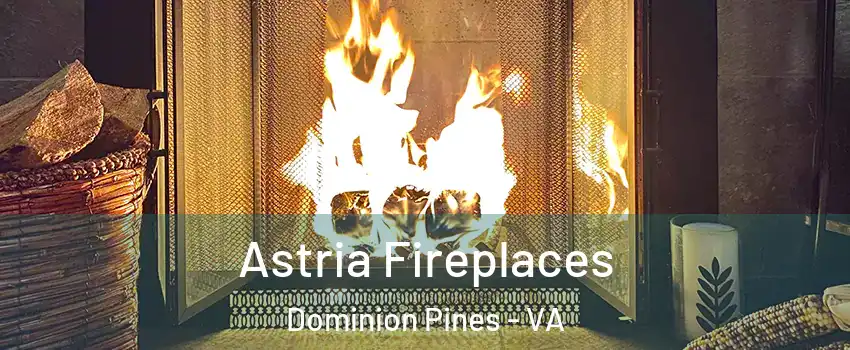 Astria Fireplaces Dominion Pines - VA