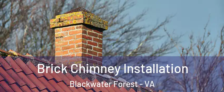 Brick Chimney Installation Blackwater Forest - VA