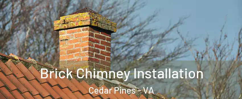 Brick Chimney Installation Cedar Pines - VA