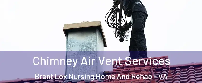 Chimney Air Vent Services Brent Lox Nursing Home And Rehab - VA