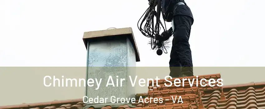 Chimney Air Vent Services Cedar Grove Acres - VA