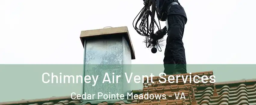 Chimney Air Vent Services Cedar Pointe Meadows - VA