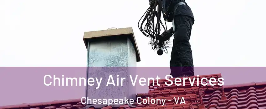 Chimney Air Vent Services Chesapeake Colony - VA