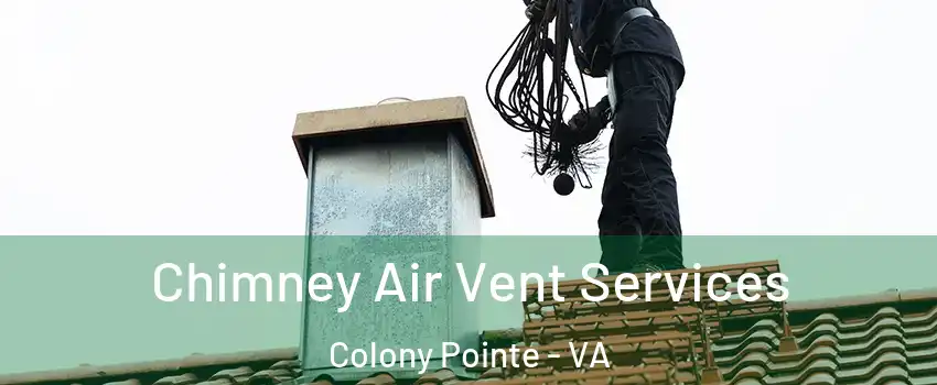 Chimney Air Vent Services Colony Pointe - VA