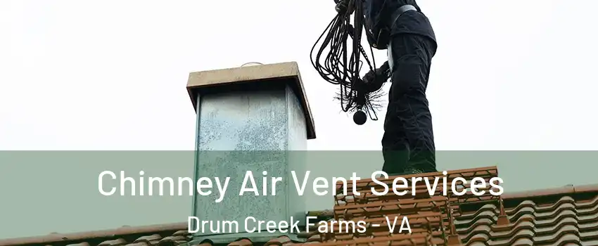 Chimney Air Vent Services Drum Creek Farms - VA