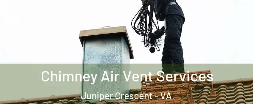 Chimney Air Vent Services Juniper Crescent - VA