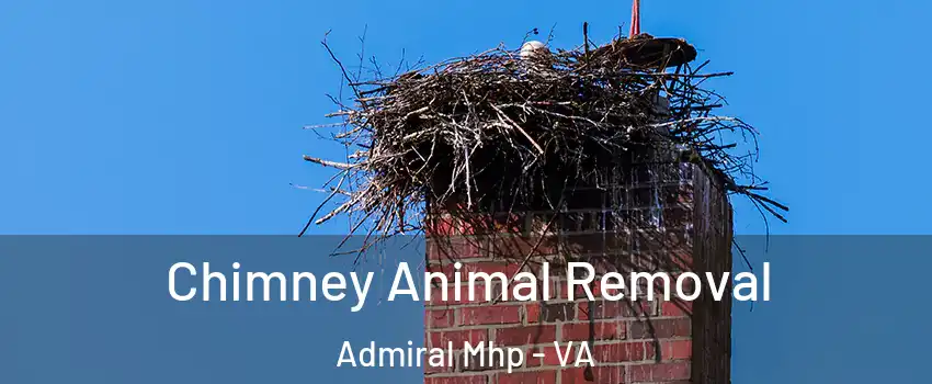 Chimney Animal Removal Admiral Mhp - VA