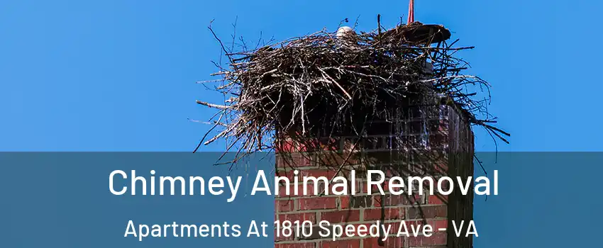 Chimney Animal Removal Apartments At 1810 Speedy Ave - VA
