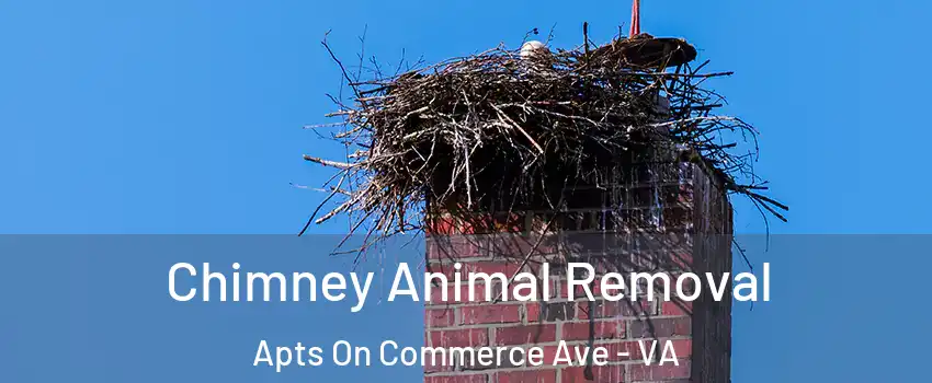 Chimney Animal Removal Apts On Commerce Ave - VA