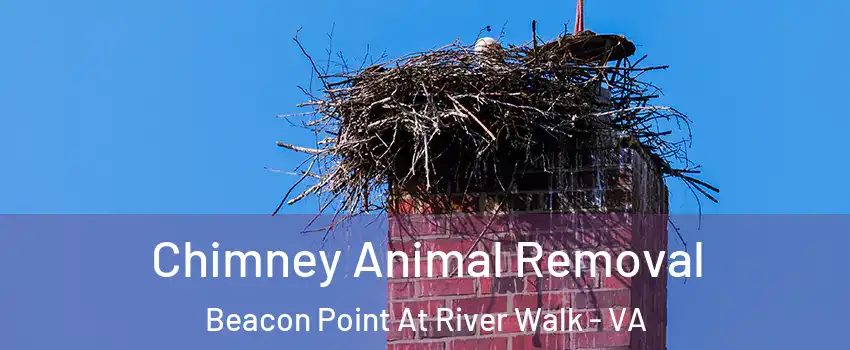 Chimney Animal Removal Beacon Point At River Walk - VA