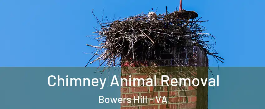 Chimney Animal Removal Bowers Hill - VA