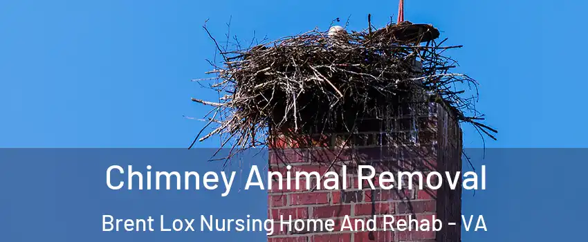 Chimney Animal Removal Brent Lox Nursing Home And Rehab - VA