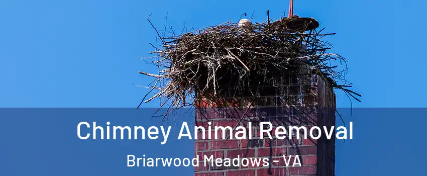 Chimney Animal Removal Briarwood Meadows - VA