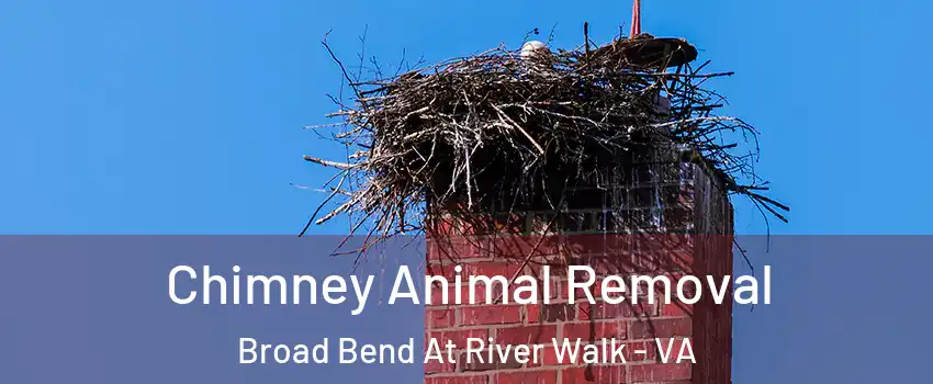 Chimney Animal Removal Broad Bend At River Walk - VA
