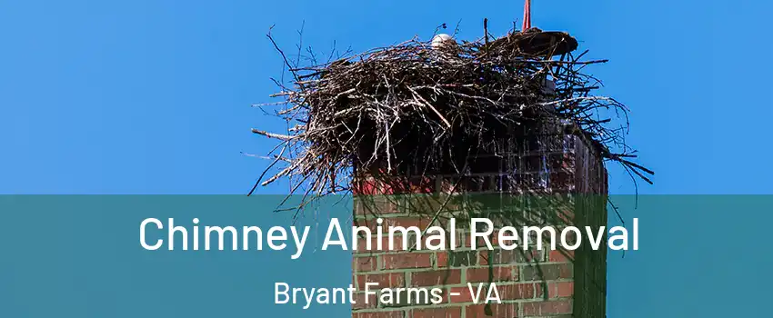Chimney Animal Removal Bryant Farms - VA