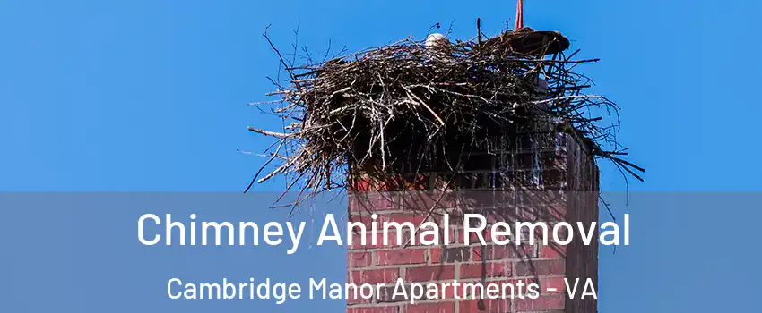 Chimney Animal Removal Cambridge Manor Apartments - VA