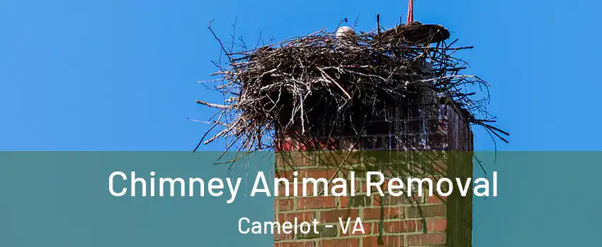 Chimney Animal Removal Camelot - VA