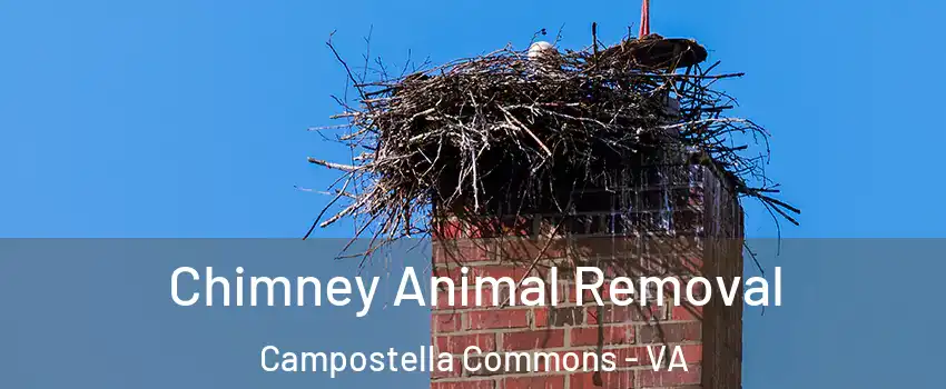 Chimney Animal Removal Campostella Commons - VA
