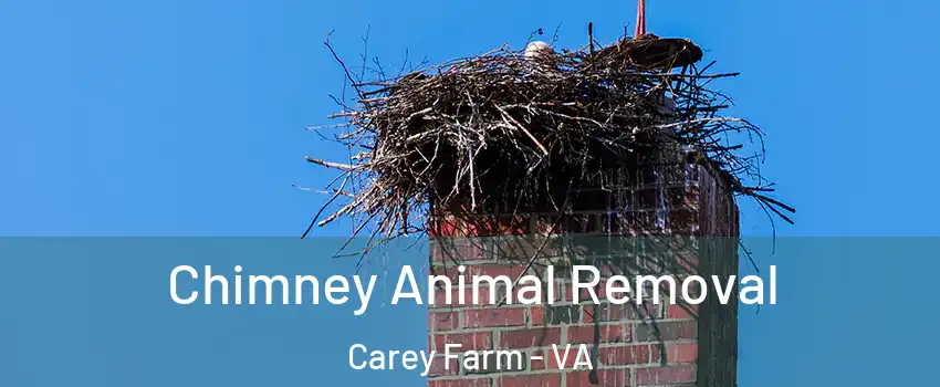 Chimney Animal Removal Carey Farm - VA