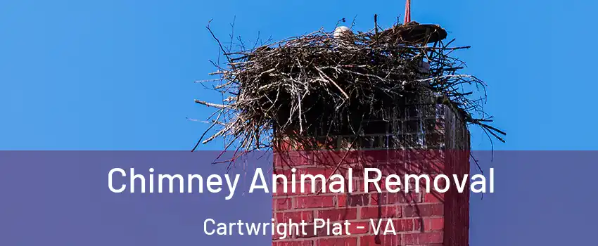 Chimney Animal Removal Cartwright Plat - VA