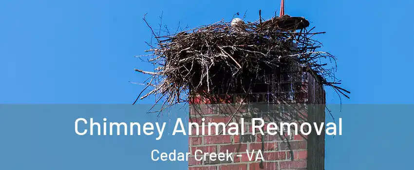 Chimney Animal Removal Cedar Creek - VA