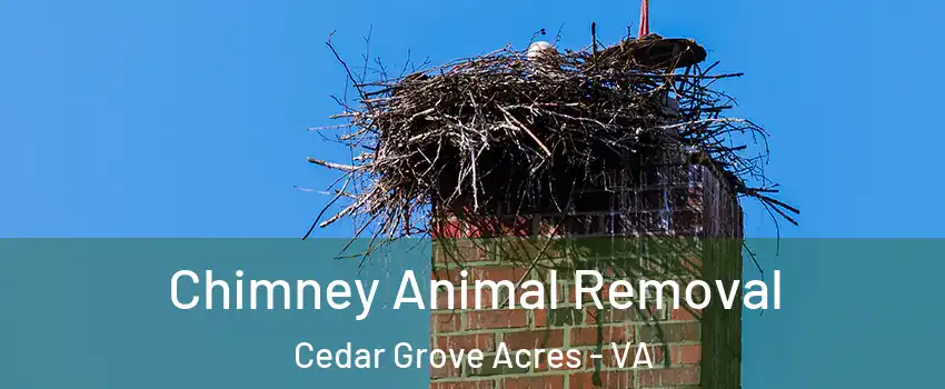 Chimney Animal Removal Cedar Grove Acres - VA