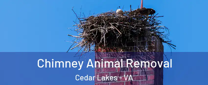 Chimney Animal Removal Cedar Lakes - VA