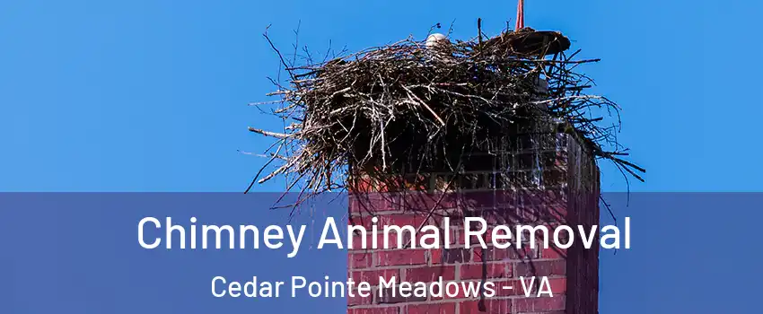 Chimney Animal Removal Cedar Pointe Meadows - VA