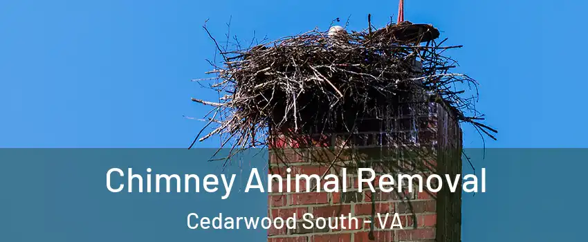Chimney Animal Removal Cedarwood South - VA