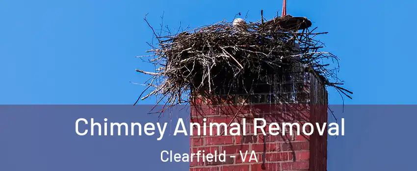Chimney Animal Removal Clearfield - VA