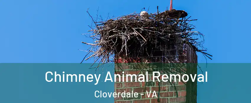Chimney Animal Removal Cloverdale - VA