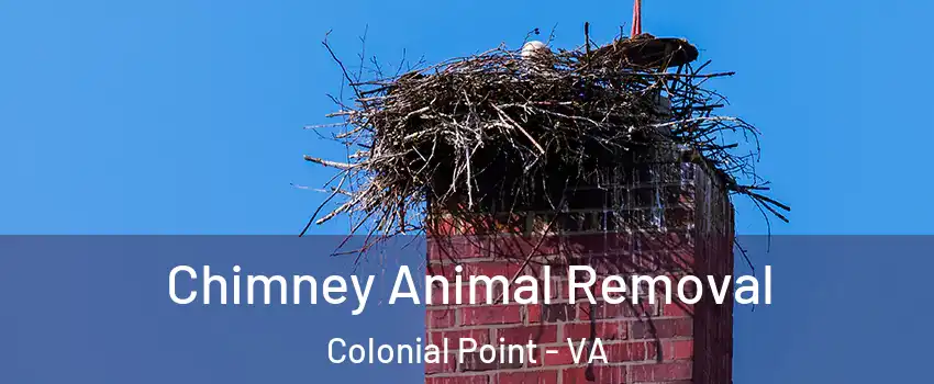 Chimney Animal Removal Colonial Point - VA
