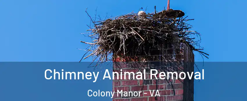 Chimney Animal Removal Colony Manor - VA