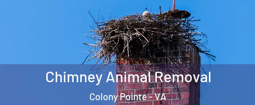 Chimney Animal Removal Colony Pointe - VA