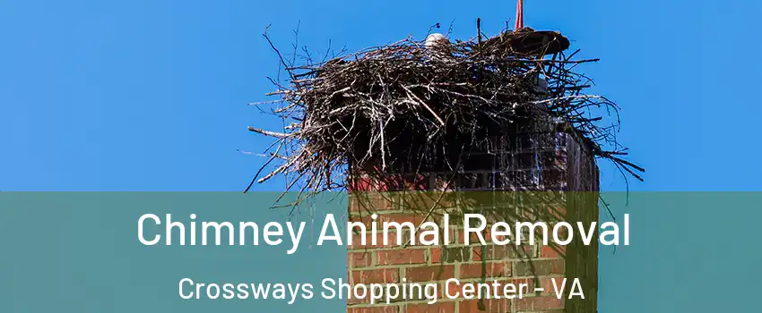 Chimney Animal Removal Crossways Shopping Center - VA