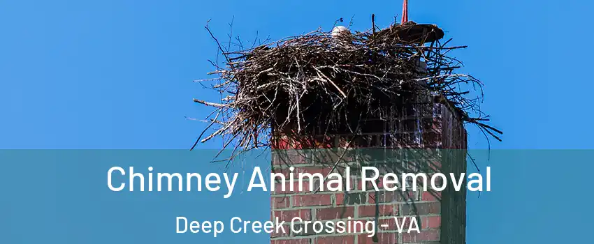 Chimney Animal Removal Deep Creek Crossing - VA